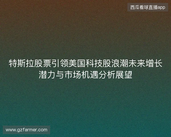 特斯拉股票引领美国科技股浪潮未来增长潜力与市场机遇分析展望