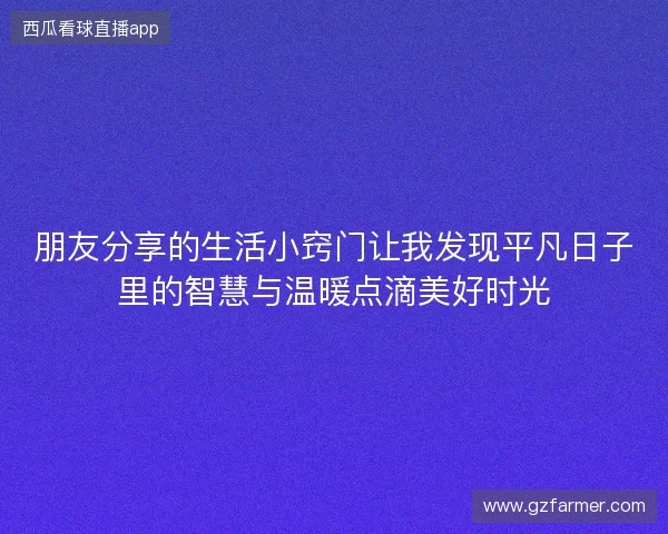 朋友分享的生活小窍门让我发现平凡日子里的智慧与温暖点滴美好时光
